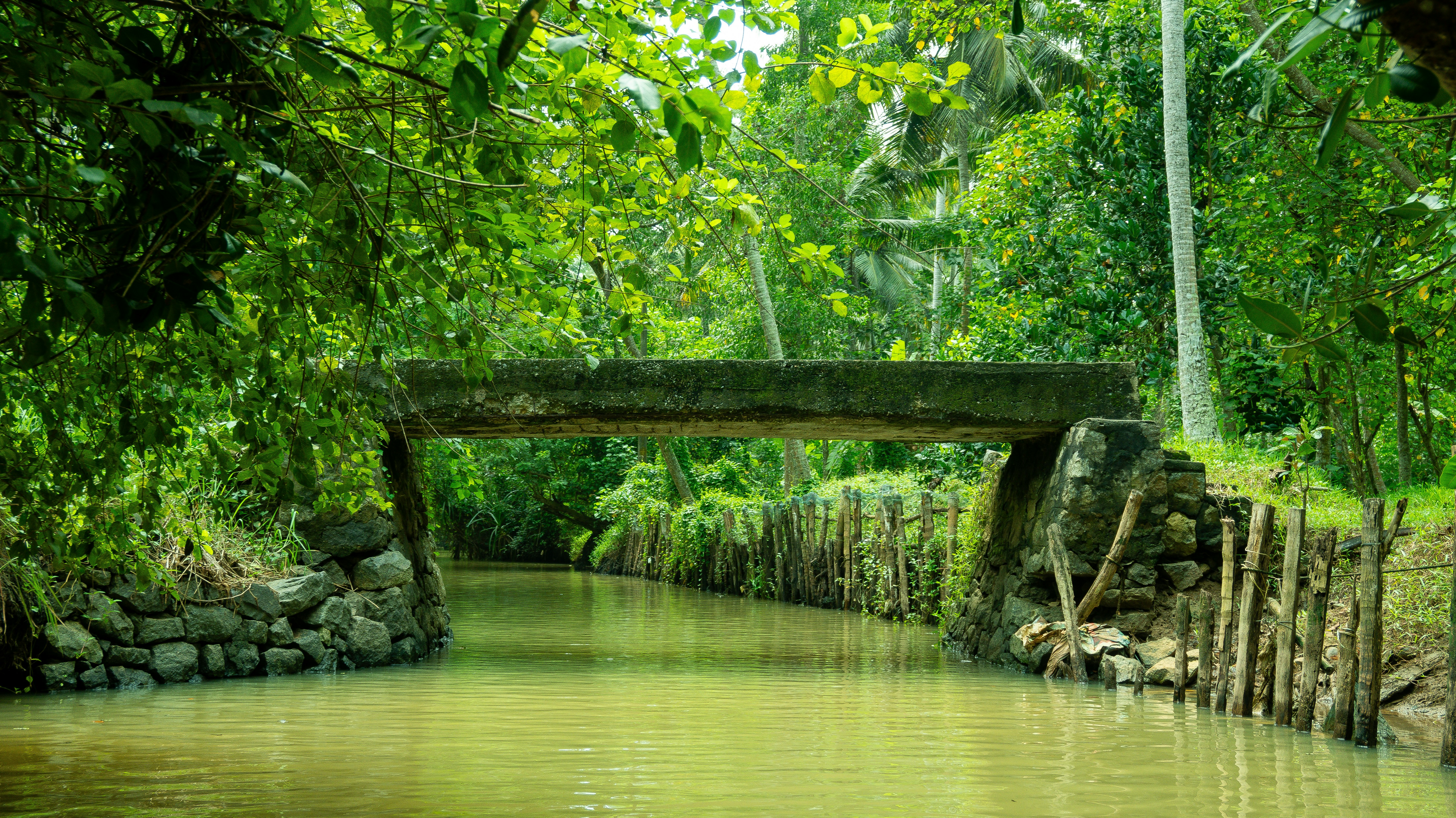 Photo by rigel_s_lens