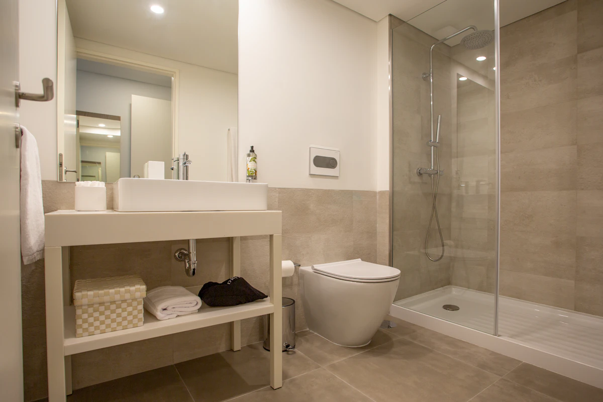 Walk-in shower and toilet renovation