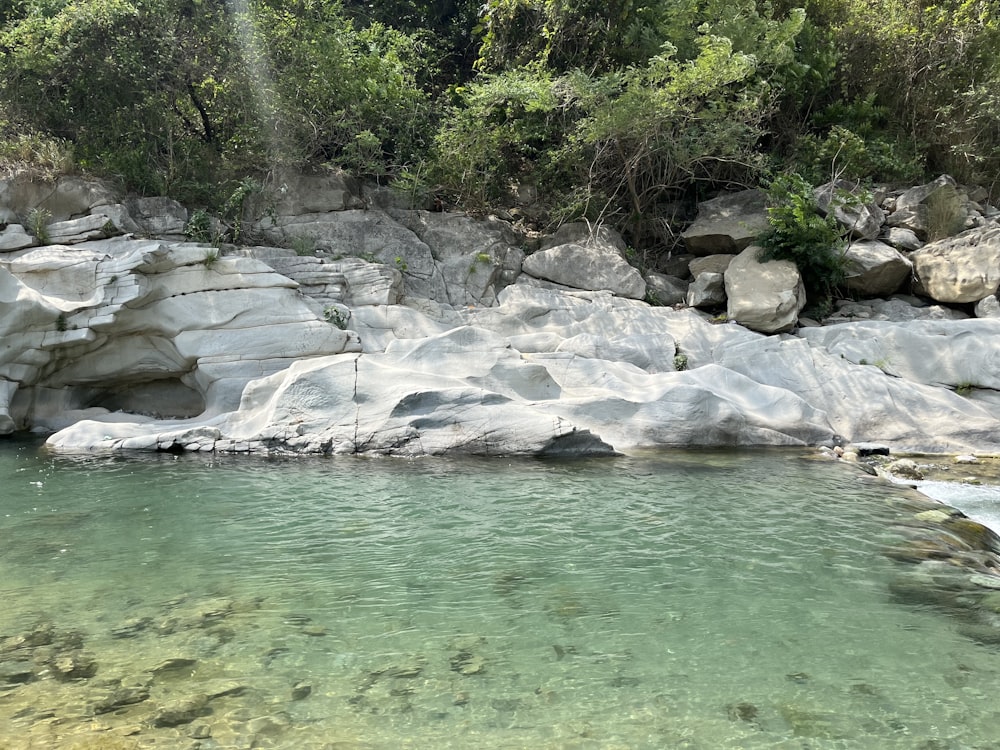 a body of water surrounded by rocks and trees