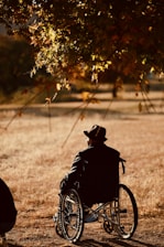 A solitary person in a wheelchair is positioned under a tree with autumn leaves, gazing into an open field. The individual is wearing a hat and a dark jacket, and the image conveys a sense of stillness and contemplation.