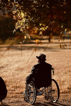 A solitary person in a wheelchair is positioned under a tree with autumn leaves, gazing into an open field. The individual is wearing a hat and a dark jacket, and the image conveys a sense of stillness and contemplation.