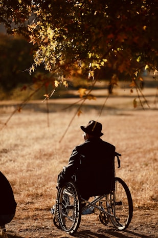 A solitary person in a wheelchair is positioned under a tree with autumn leaves, gazing into an open field. The individual is wearing a hat and a dark jacket, and the image conveys a sense of stillness and contemplation.