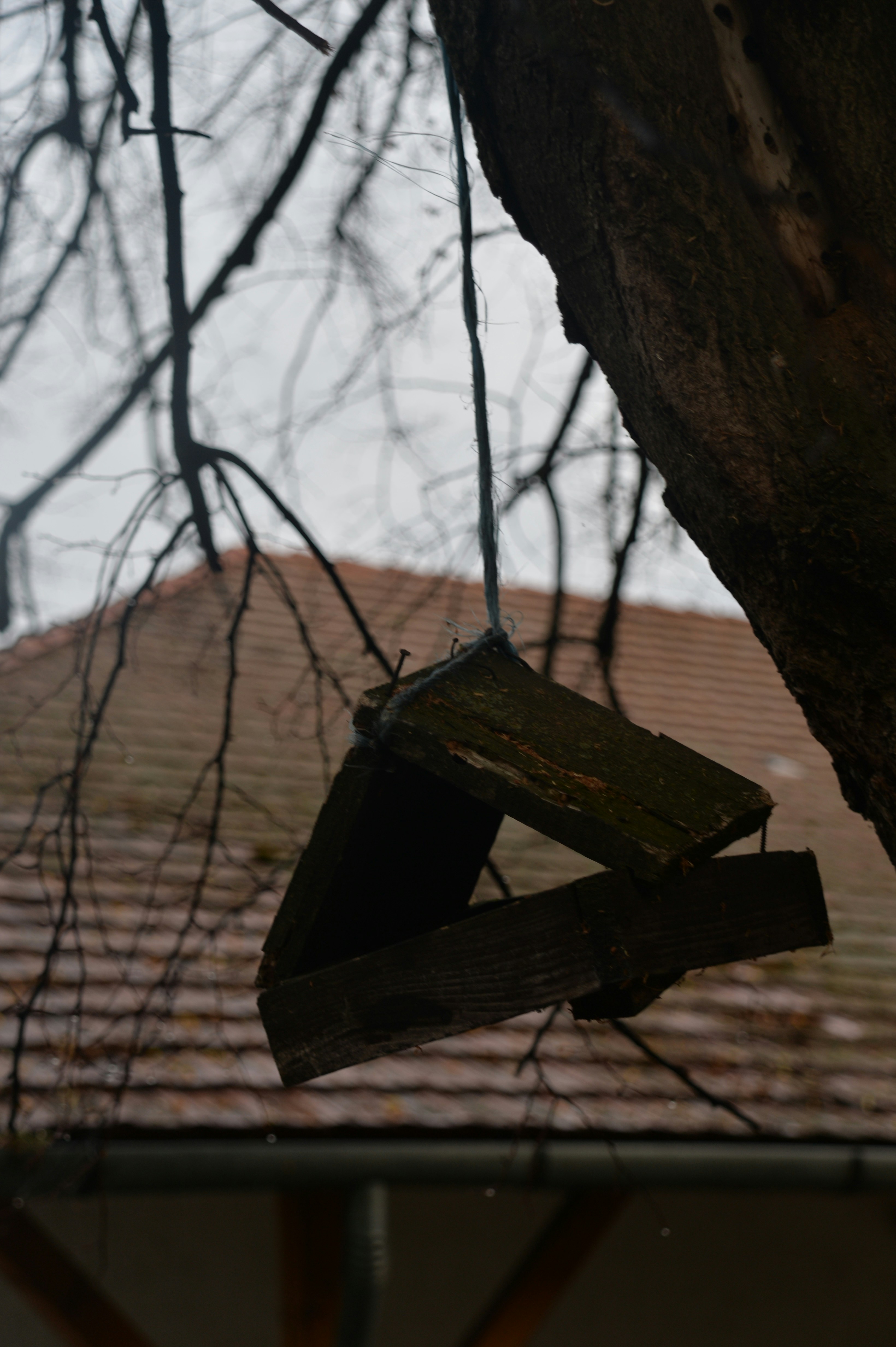 a bird house hanging from a tree in front of a house