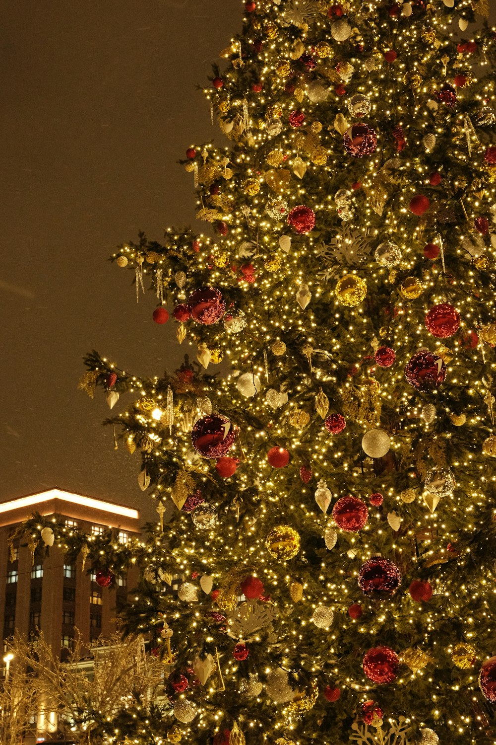 Uma grande árvore de Natal é iluminada em frente a um edifício