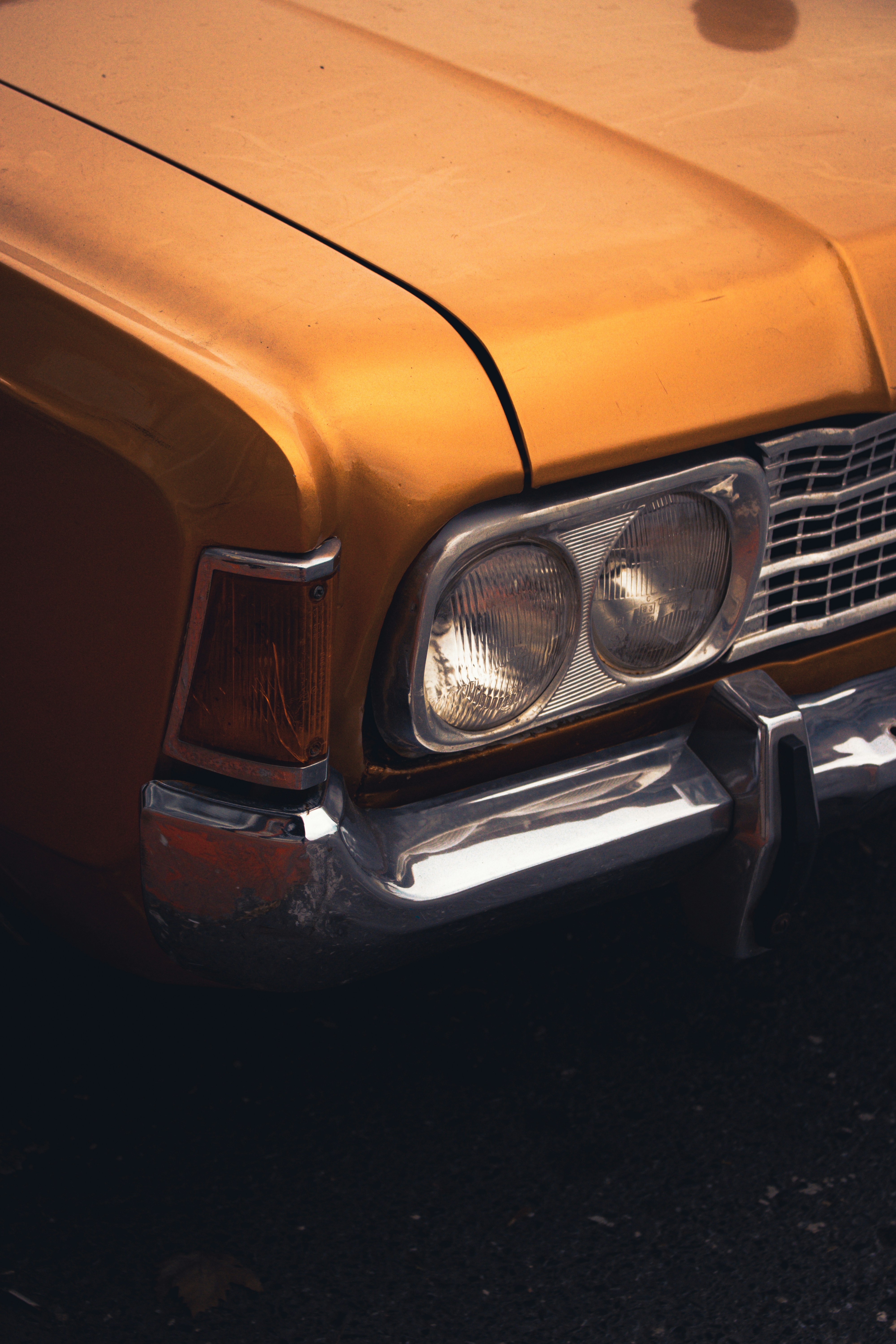 Photo by noorullahhhhhh