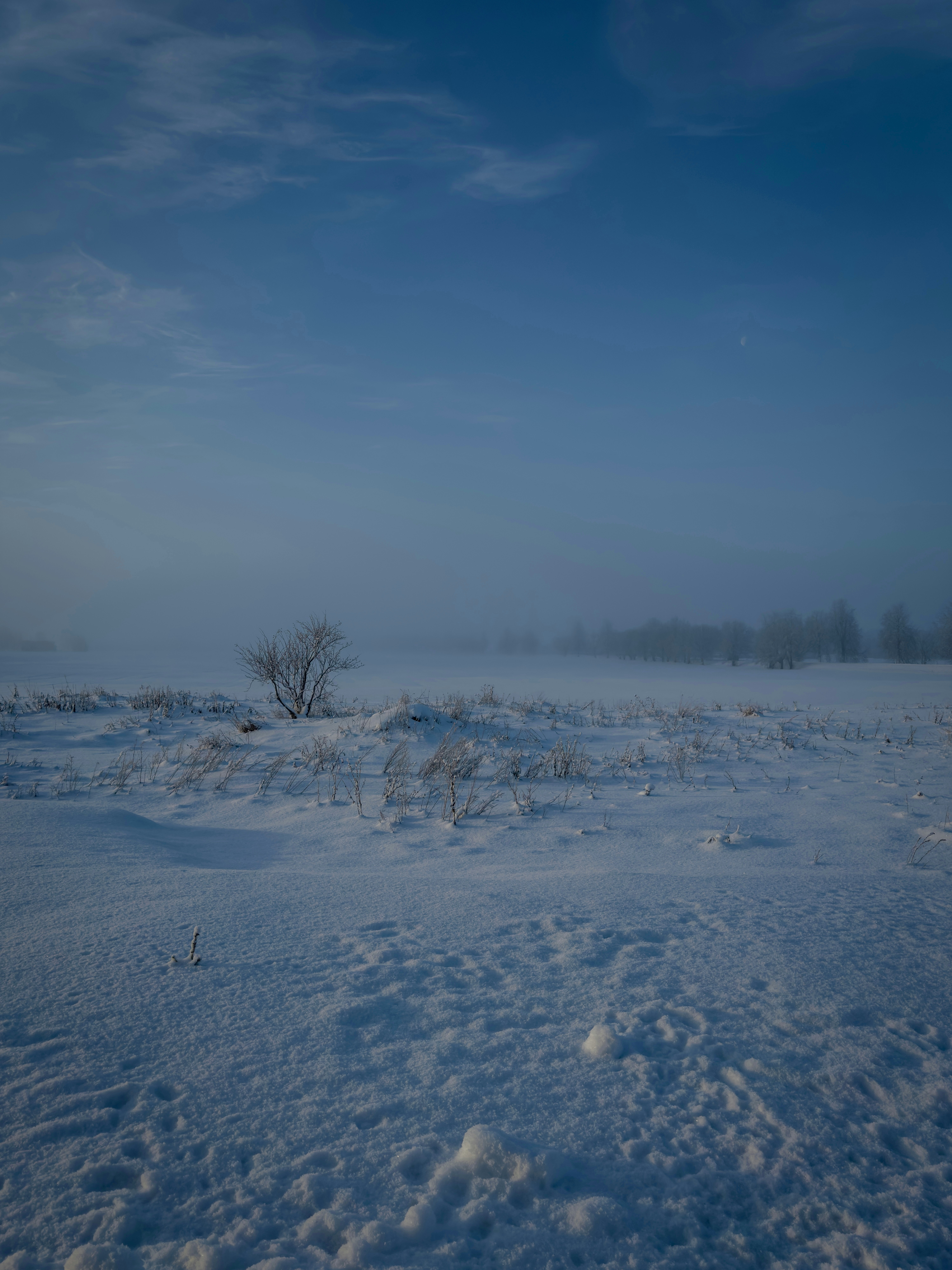 Photo by filthyanimal