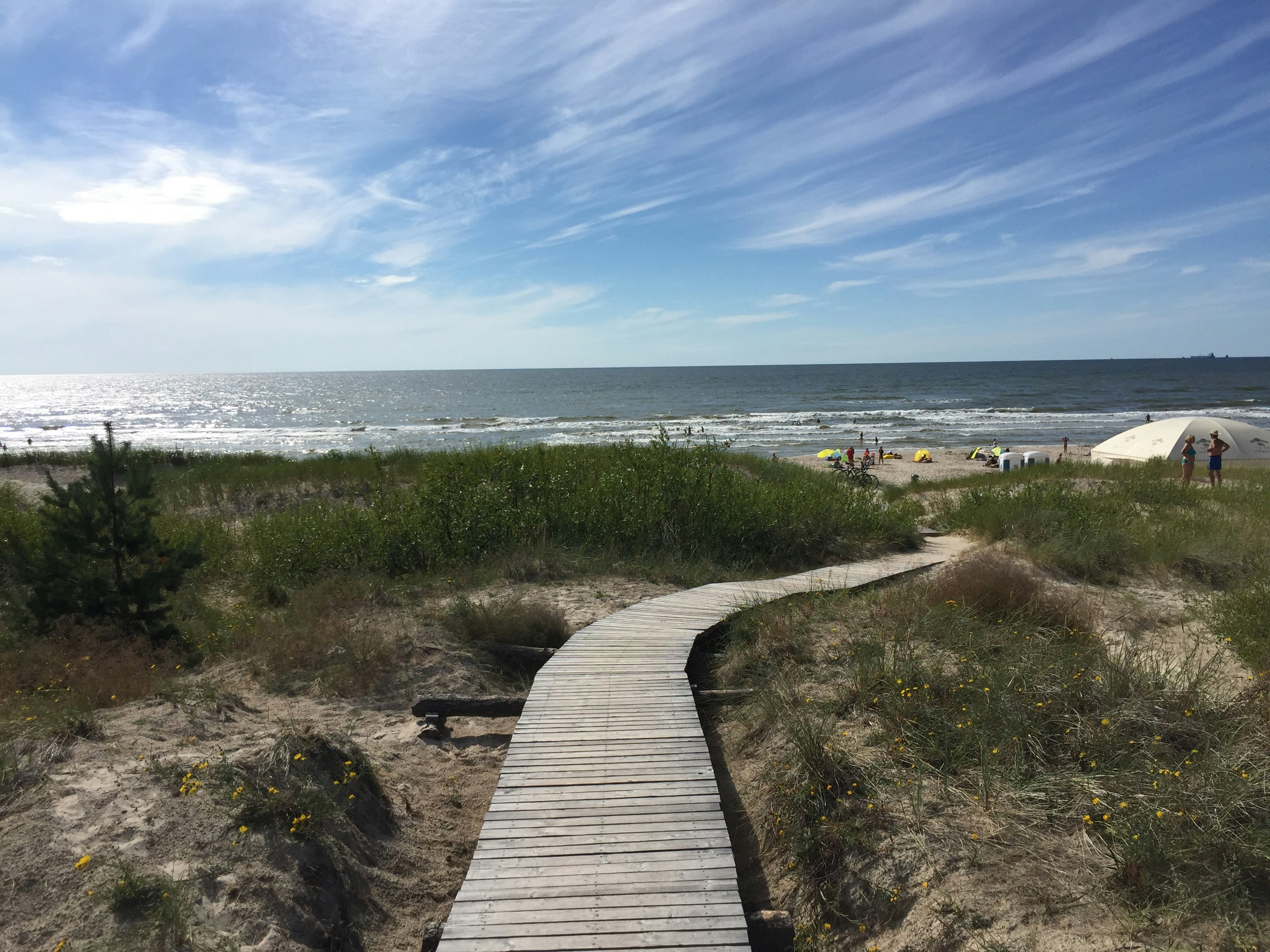 Photo by filthyanimal