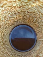 Close-up of a pastel-colored Magic Cup with glitter swirling inside like a snow globe.