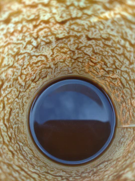 Illustration showing internal thermal regulation system of the cup.