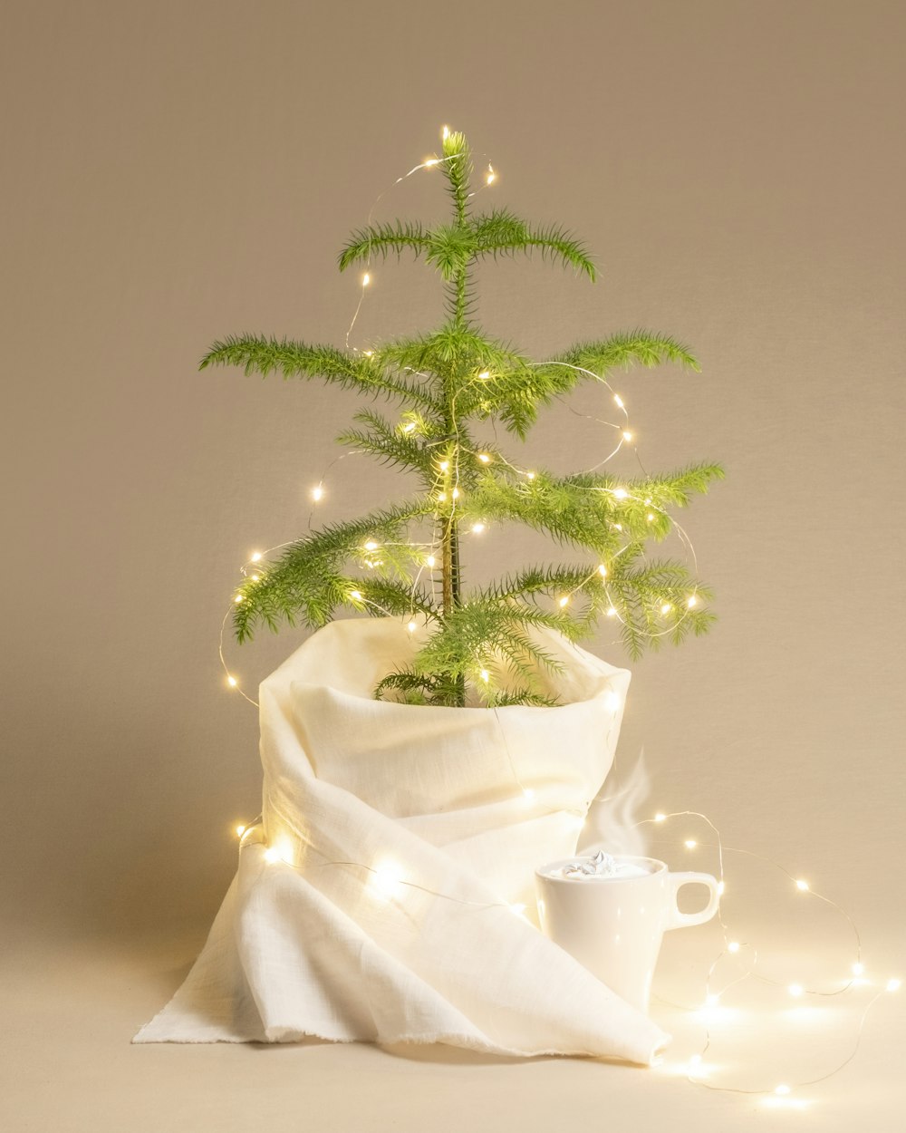a small christmas tree in a white vase