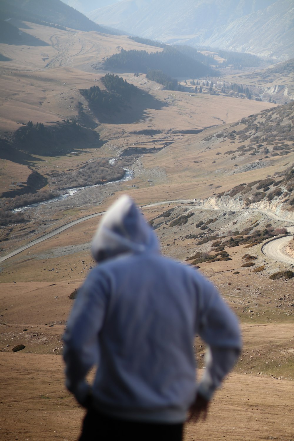 una persona in piedi su una collina che guarda una valle
