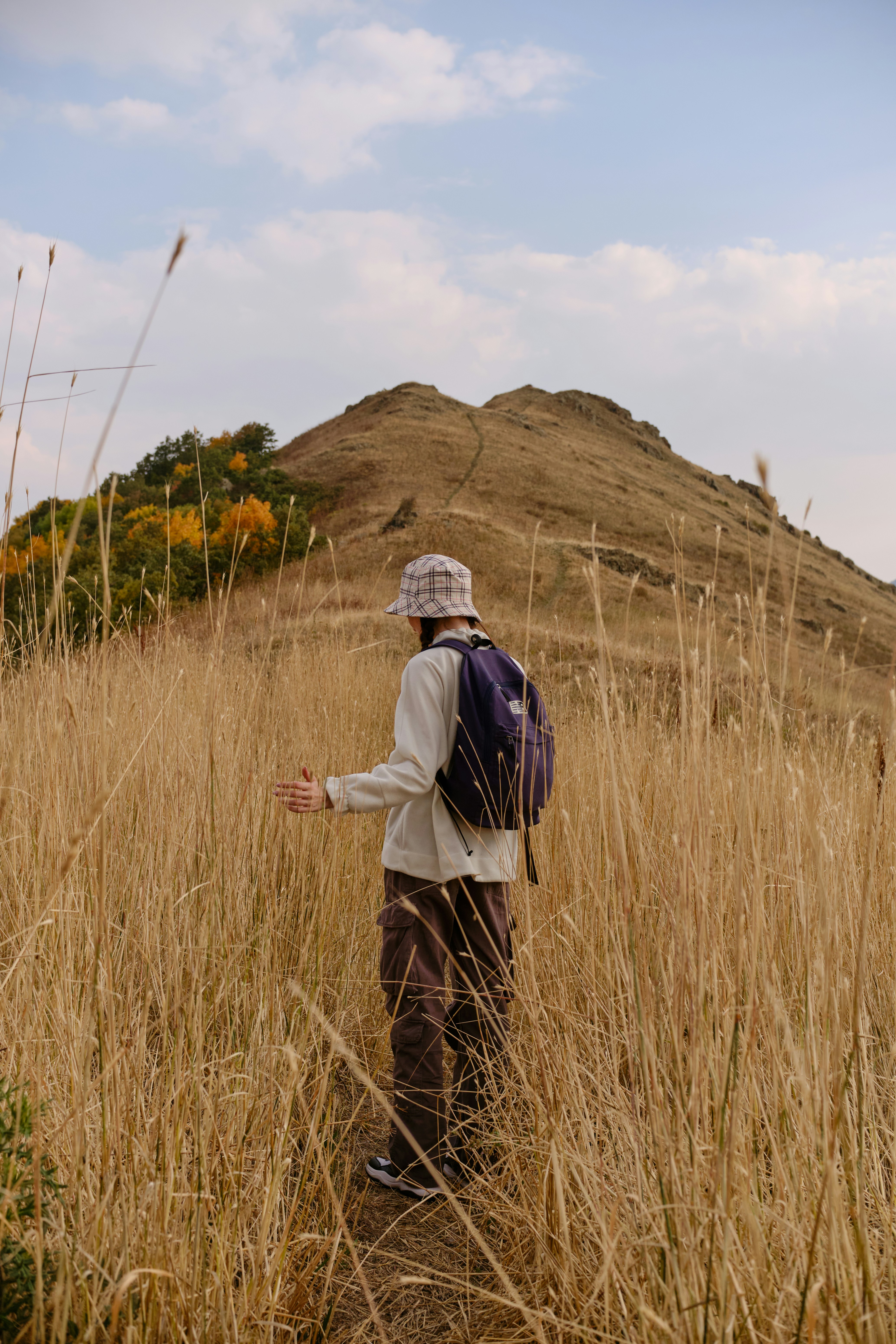 A person standing in a field of tall grass photo – Free Armenia Image ...