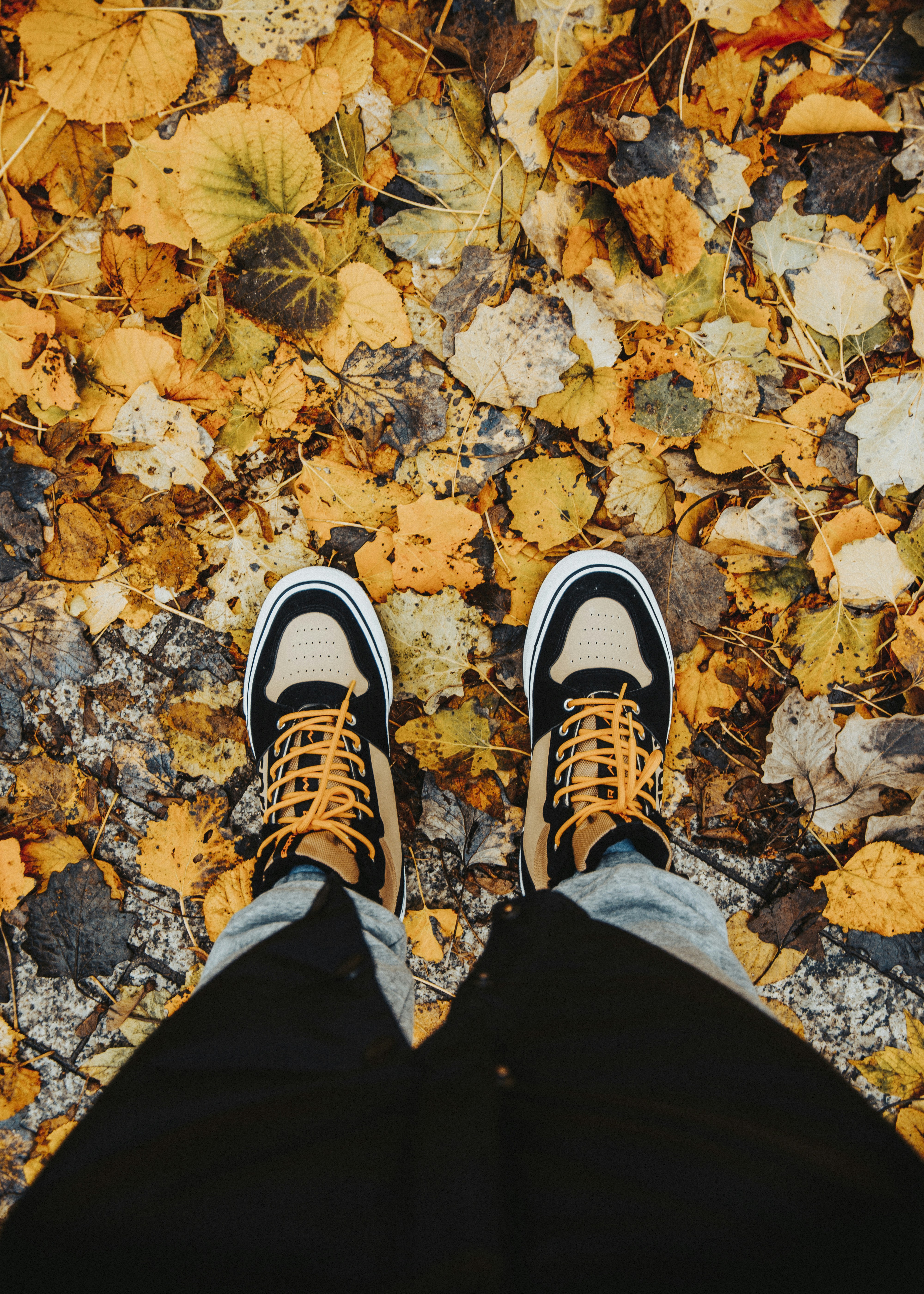 Photo by iamfrancismorgan