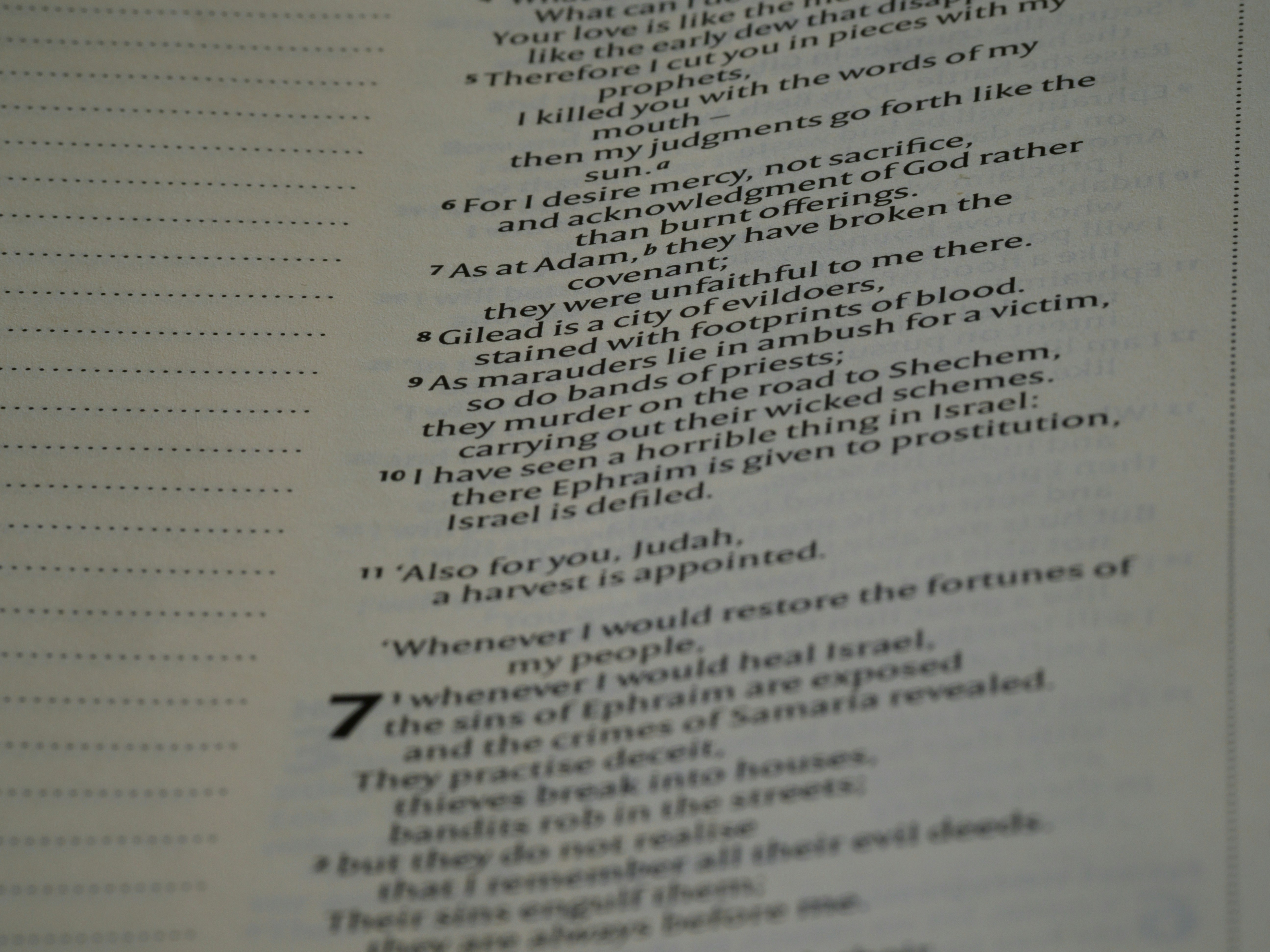 close up, bokeh, macro, blur, blurred background, close focus, bible, old testament, hebrew bible, christian, judaism, history, text, reading, bible study, devotions, text, NIV, New International Version, type, typography, canon, christianity, holy scripture, holy bible, scripture, old testament, hebrew bible, prophecy, exile, judgement, judgment, redemption, septuagint, destruction of jerusalem, restoration of israel, restoration, hosea, הוֹשֵׁעַ, osee, son of beeri, minor prophet, minor prophets, talmud, salvation, he saves, he helps, gomer, mercy of god,