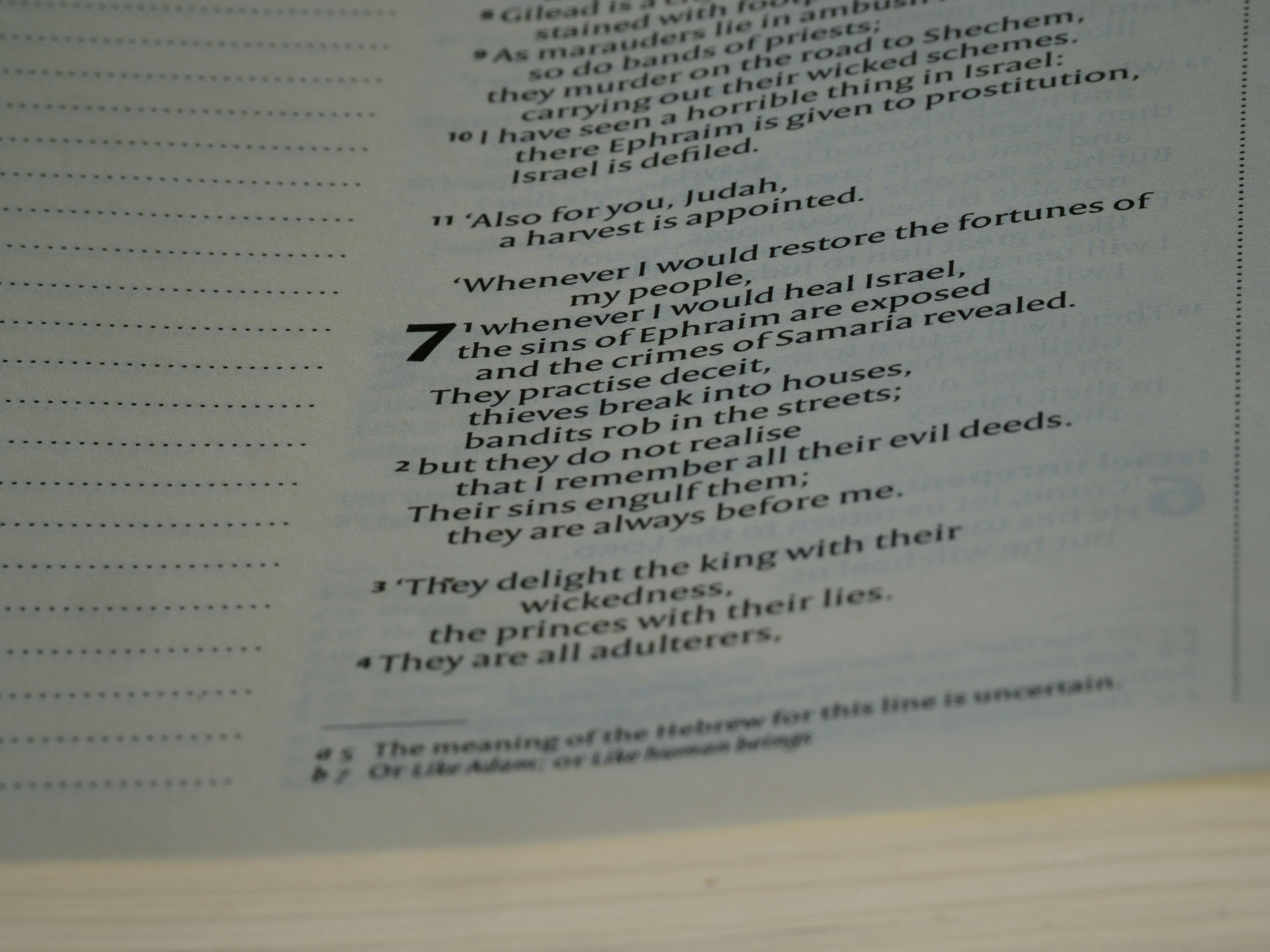 close up, bokeh, macro, blur, blurred background, close focus, bible, old testament, hebrew bible, christian, judaism, history, text, reading, bible study, devotions, text, NIV, New International Version, type, typography, canon, christianity, holy scripture, holy bible, scripture, old testament, hebrew bible, prophecy, exile, judgement, judgment, redemption, septuagint, destruction of jerusalem, restoration of israel, restoration, hosea, הוֹשֵׁעַ, osee, son of beeri, minor prophet, minor prophets, talmud, salvation, he saves, he helps, gomer, mercy of god,