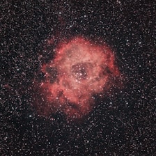 A vibrant nebula with a rich, reddish hue is surrounded by a vast field of numerous stars against the blackness of space. The central area of the nebula features a cluster of bright stars, giving it a floral appearance.