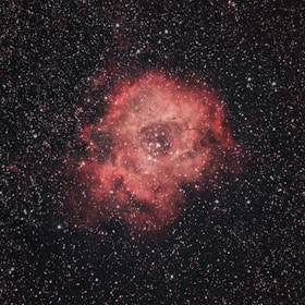 A vibrant nebula with a rich, reddish hue is surrounded by a vast field of numerous stars against the blackness of space. The central area of the nebula features a cluster of bright stars, giving it a floral appearance.