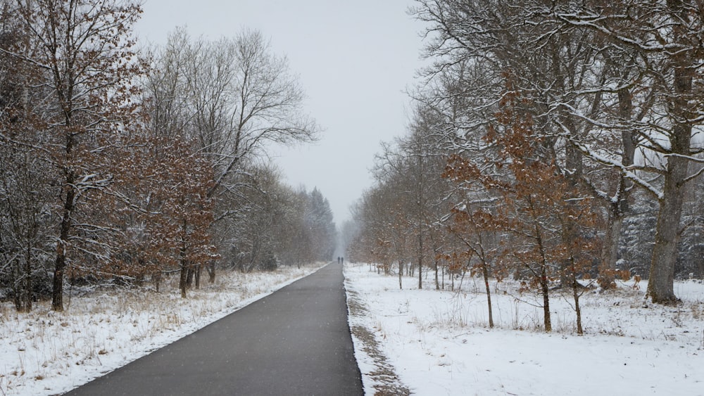 a road in the middle of a snowy forest