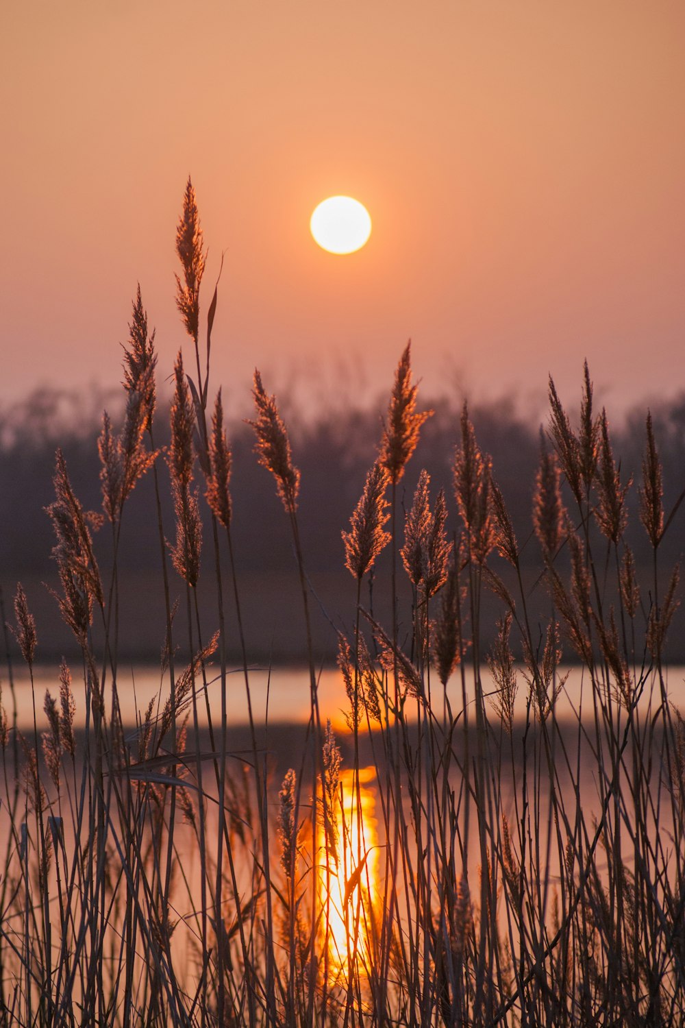 the sun is setting over a body of water