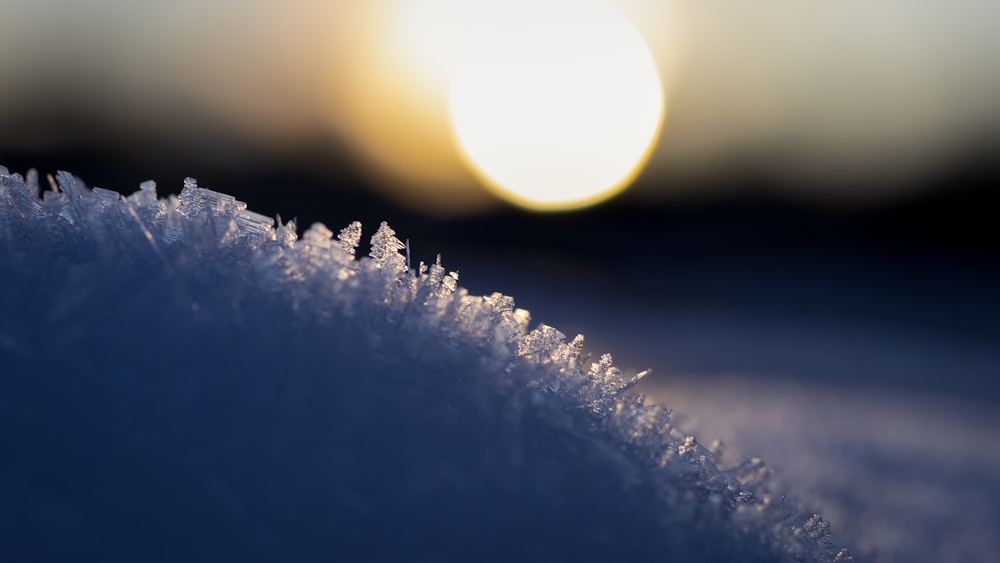 a close up of a frosty surface with the sun in the background