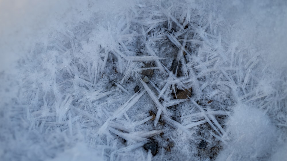 a close up of a bunch of ice crystals