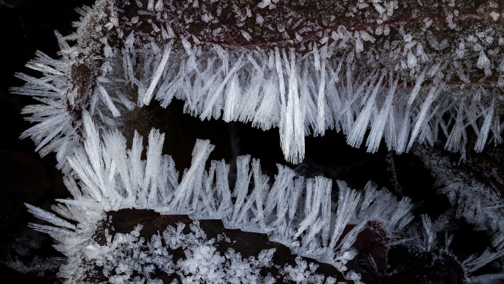 a group of ice crystals sitting on top of a snow covered ground