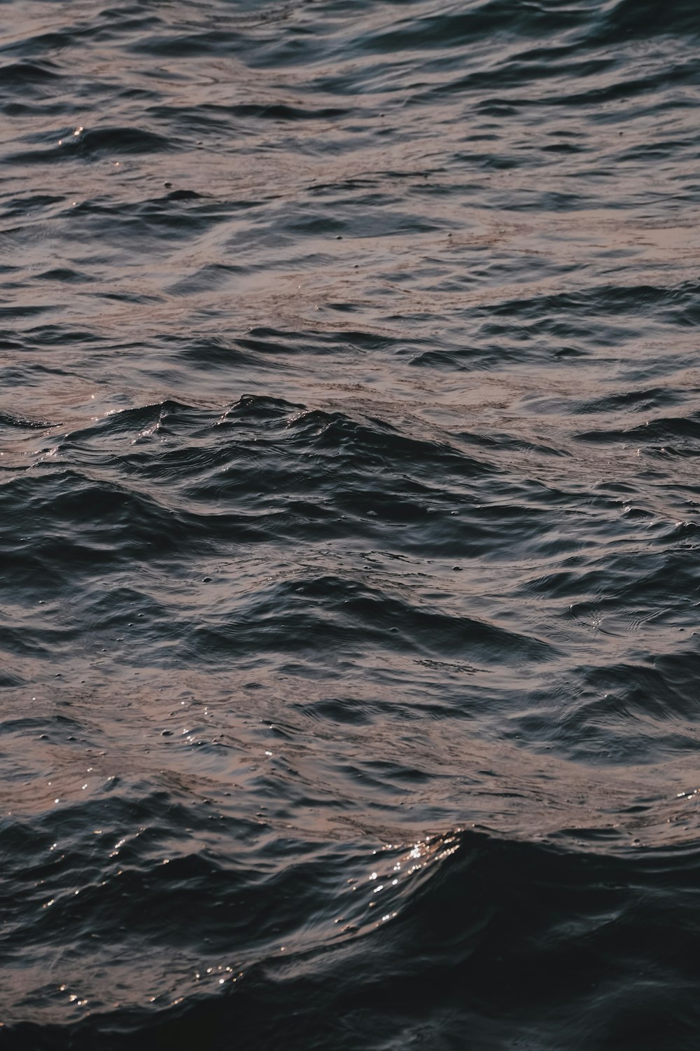 a person riding a surfboard on top of a body of water