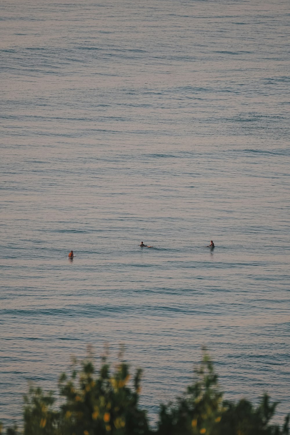 a couple of people swimming in a body of water