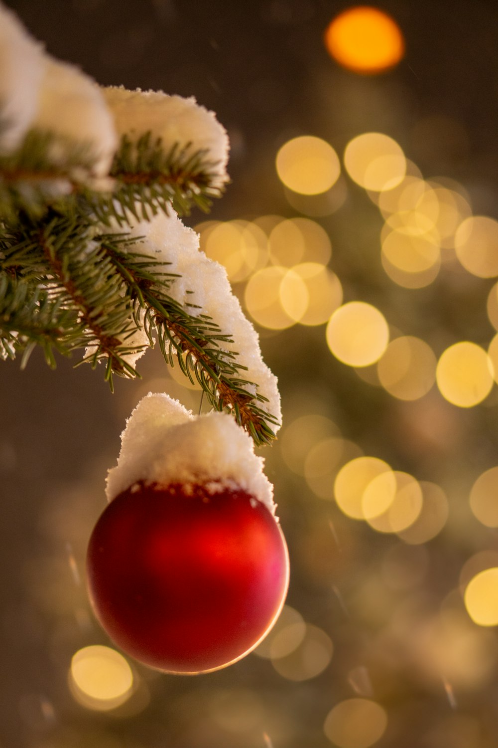 a red ornament hanging from a christmas tree