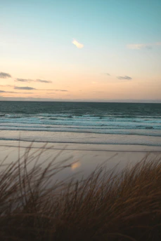 a view of a beach with a boat in the distance