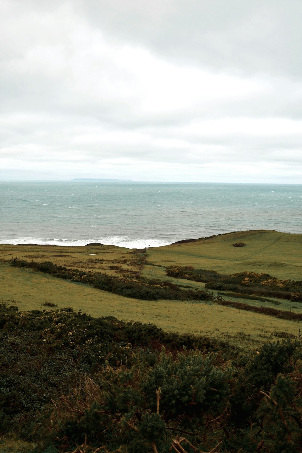 a view of the ocean from the top of a hill