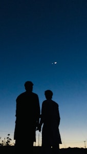 Moonlit Hearts