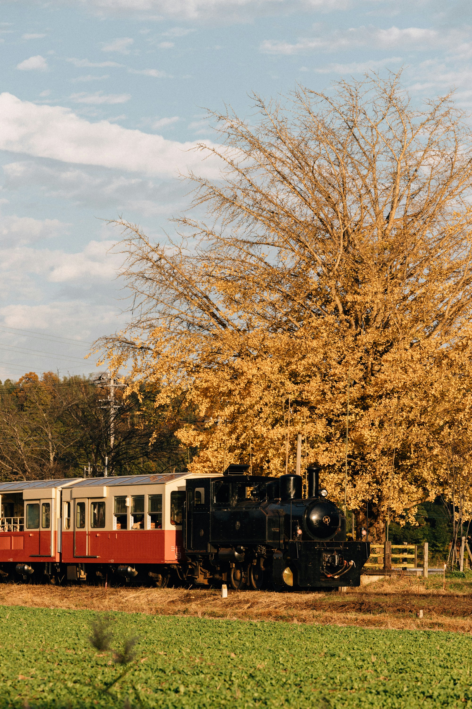 Photo by tsuyoshikozu