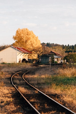 A quiet, rural train track curves gently, surrounded by autumnal scenery. In the background, there are old sheds and a tree with vibrant yellow foliage. The landscape has an overgrown, slightly wild appearance, evoking a sense of nostalgia.
