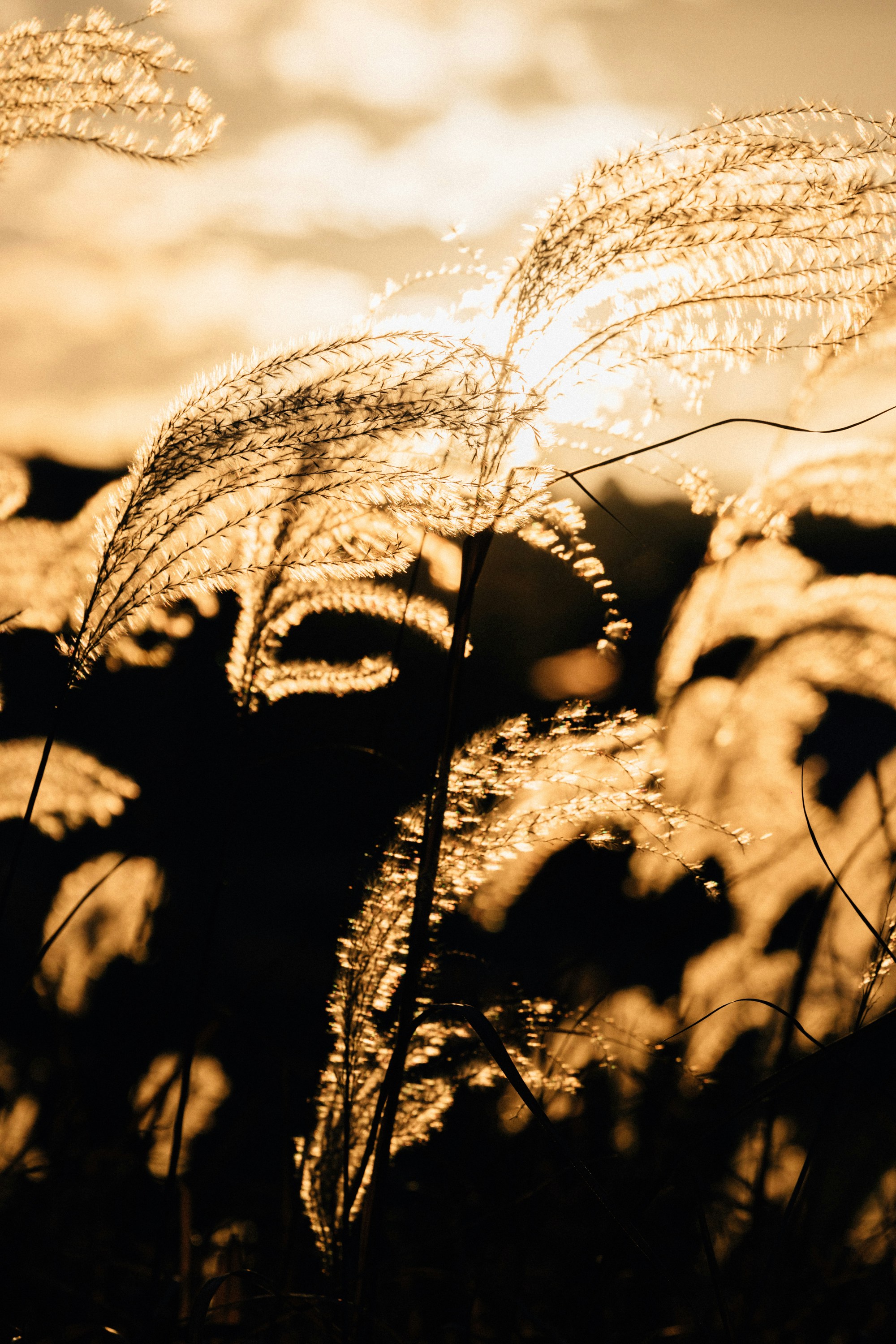 Photo by tsuyoshikozu