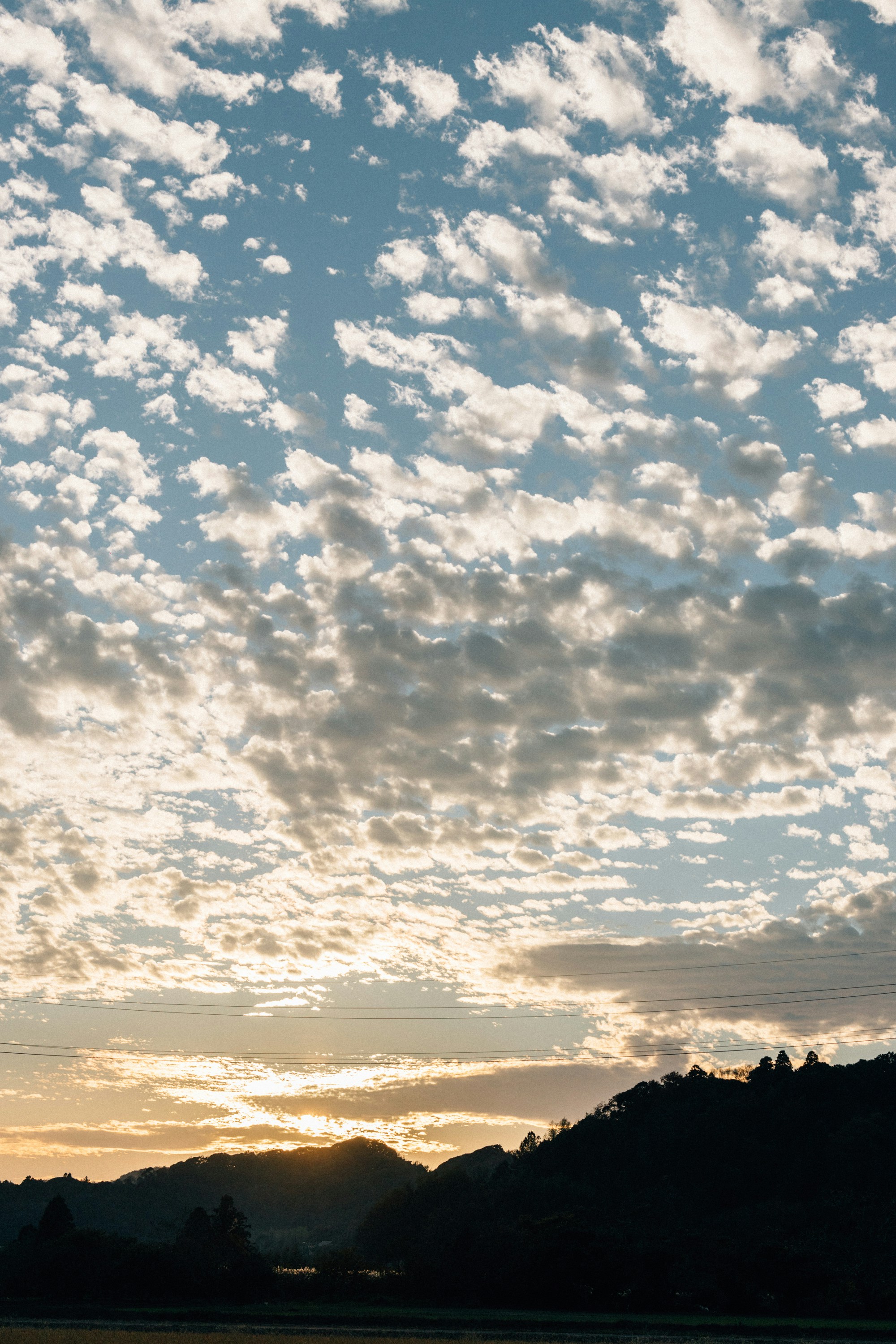 Photo by tsuyoshikozu