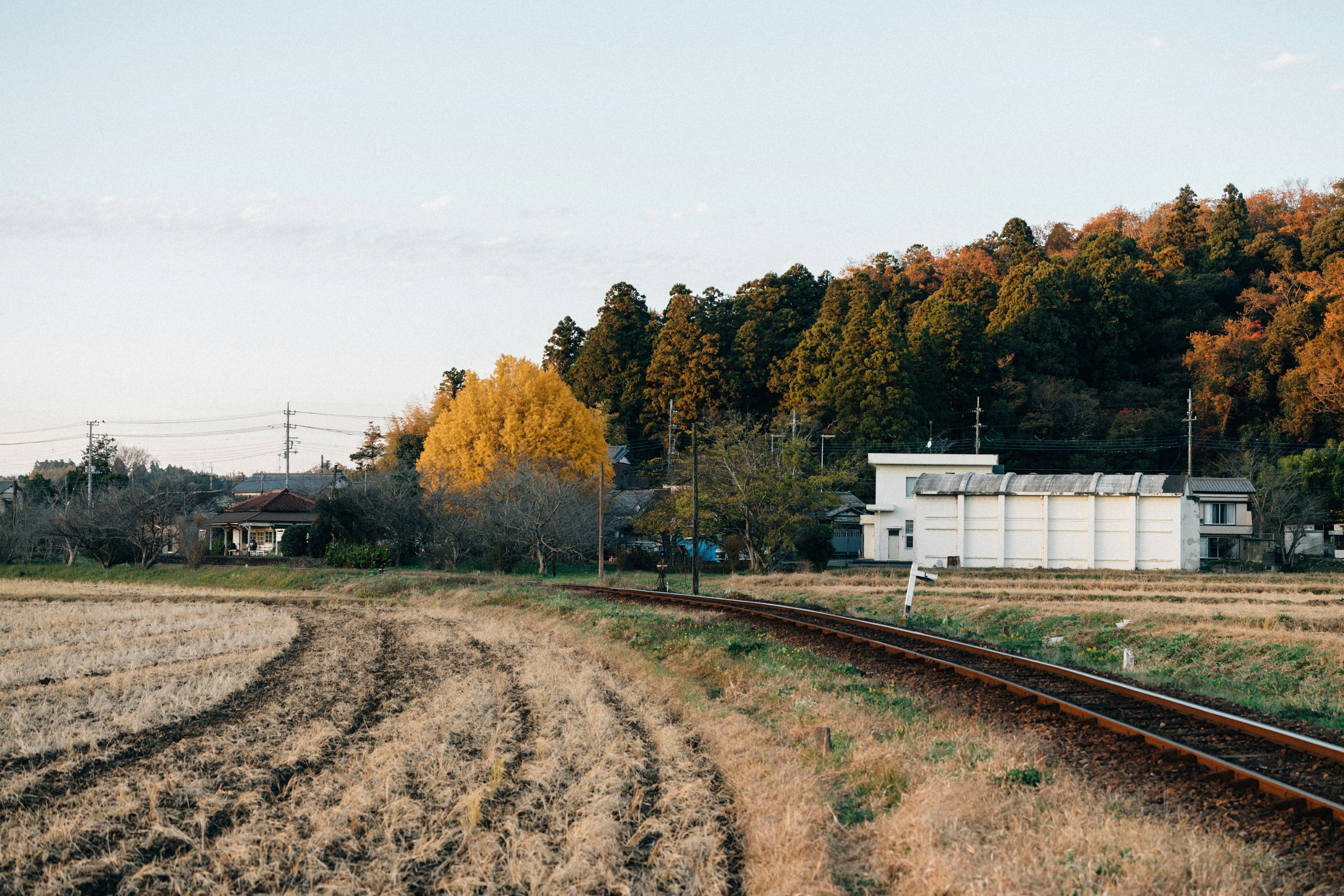 Photo by tsuyoshikozu