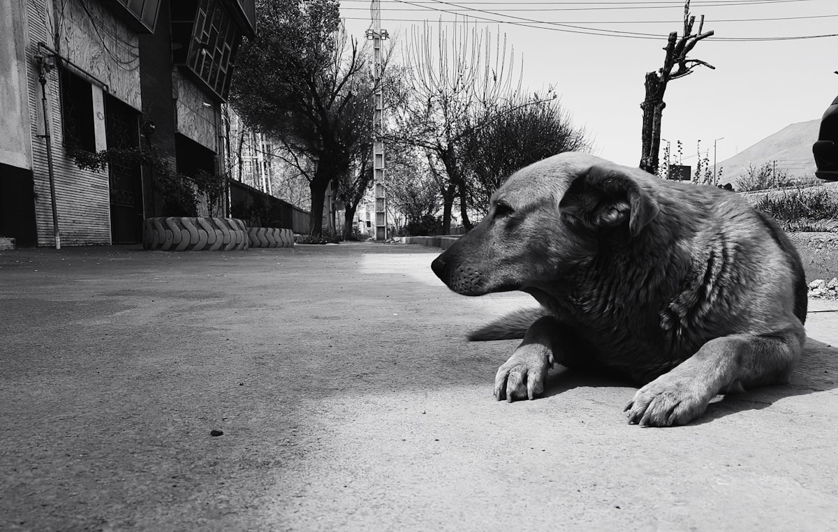 Визит