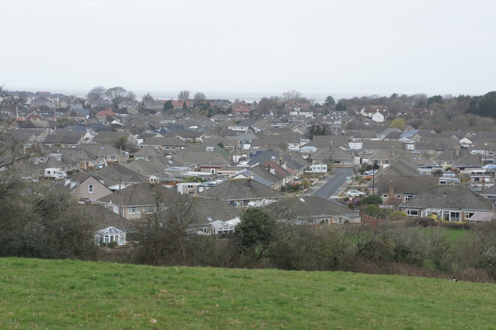 a herd of sheep grazing on top of a lush green hillside