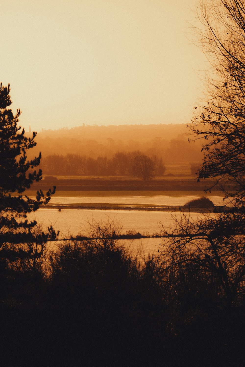a body of water surrounded by trees and a hill