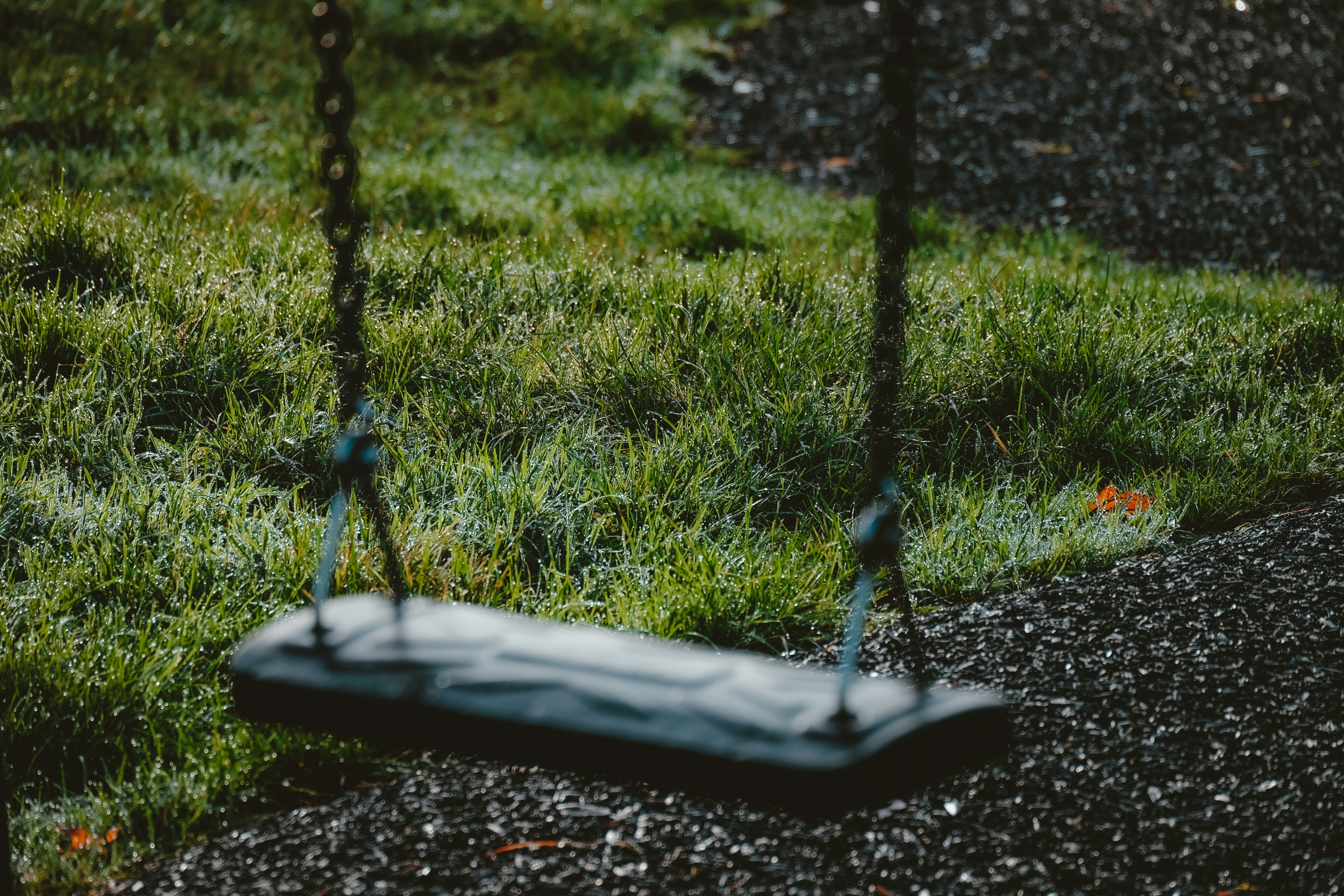 a swing sitting on top of a lush green field