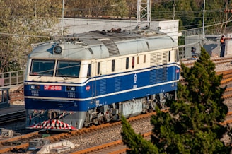 A blue and white diesel locomotive is on the railway tracks, surrounded by lush greenery and power lines. The locomotive has various text and numbers visible on the front and side. A few people are seen in the background near a fence and electrical equipment.