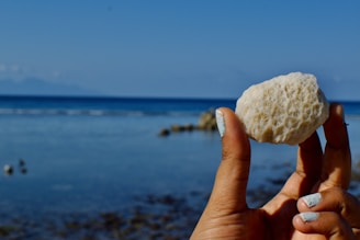 a hand holding a rock in front of a body of water