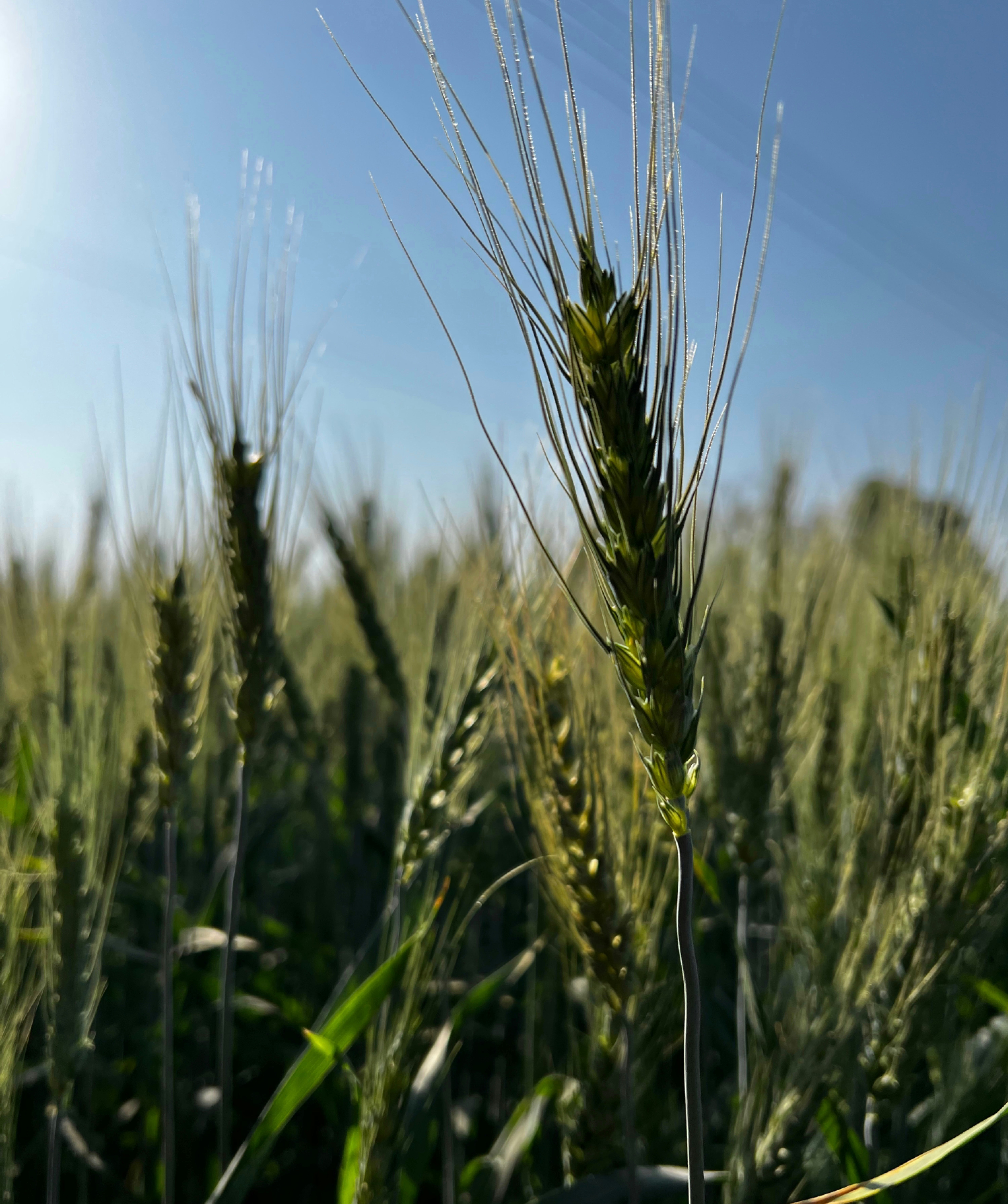 Photo by chico__fotografo