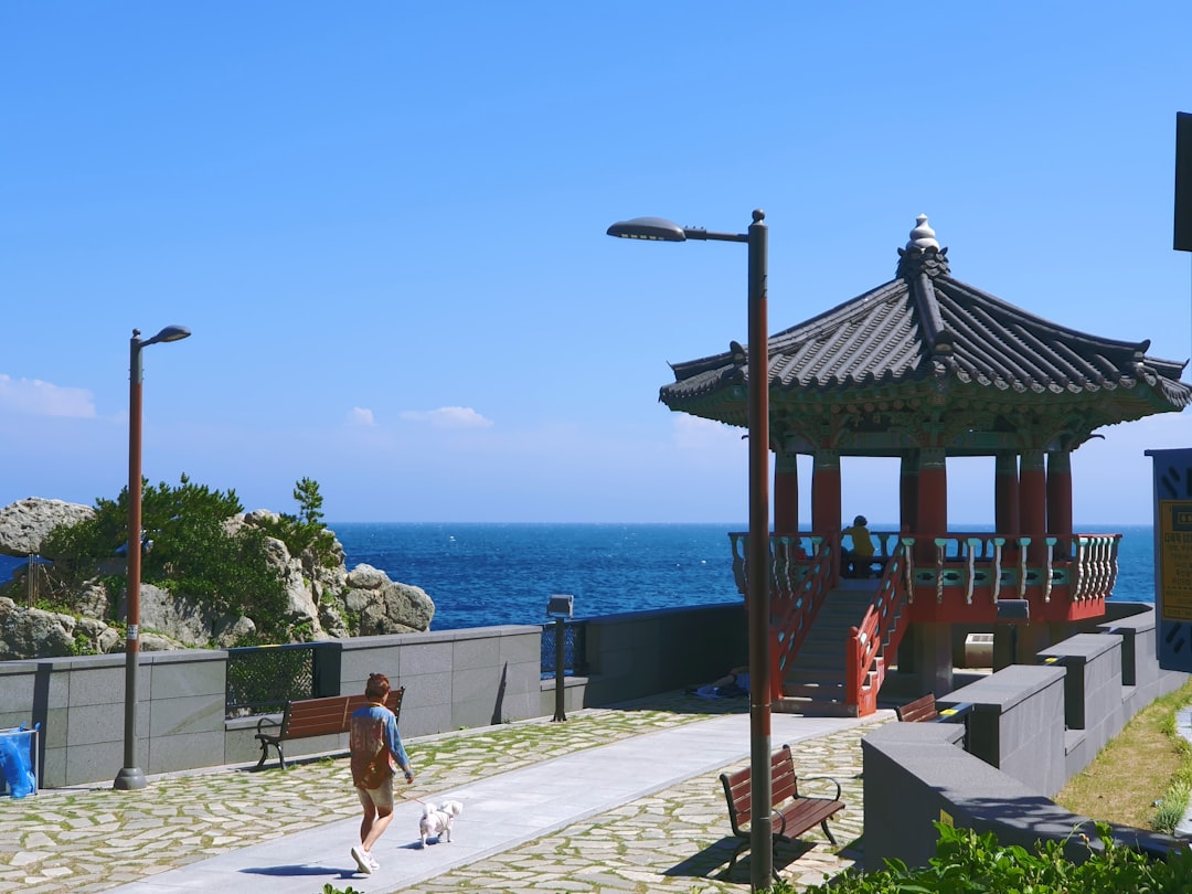 관련 이미지