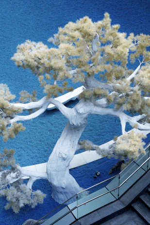 An artificial tree with delicate leaves and textured bark, perfect for indoor decoration.