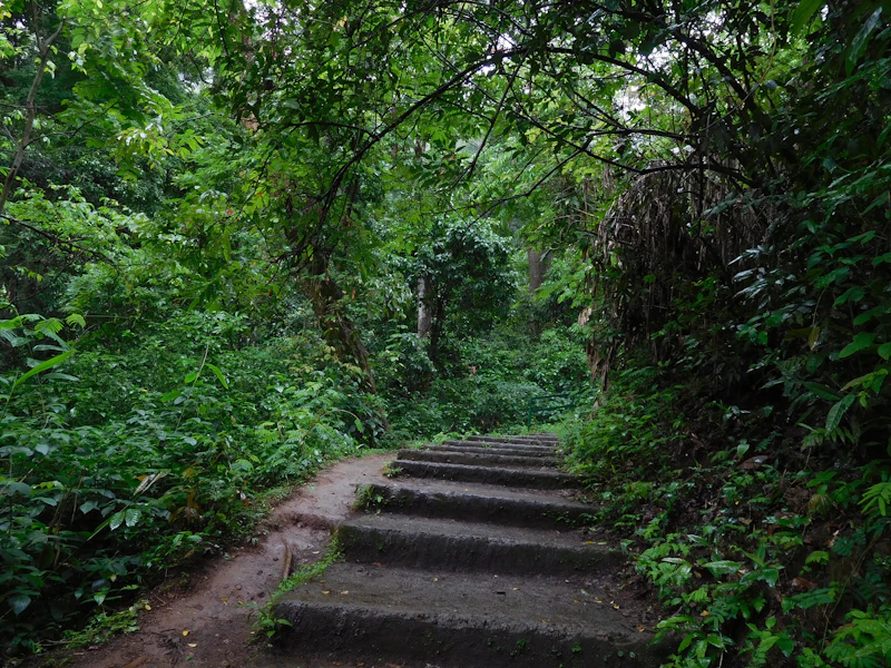 Best Walking Paths and Streets in Madikeri to Explore on Foot