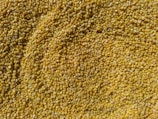 Close-up of rich, granulated fertilizer pellets ready for packaging.