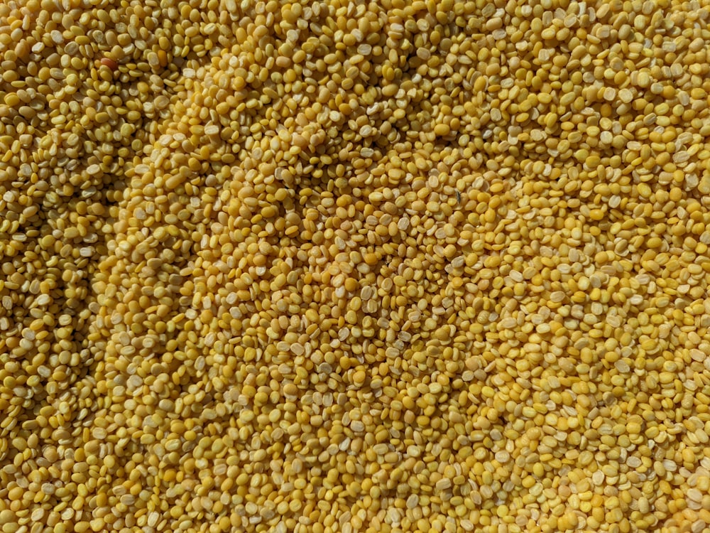 a close up of a bunch of yellow seeds