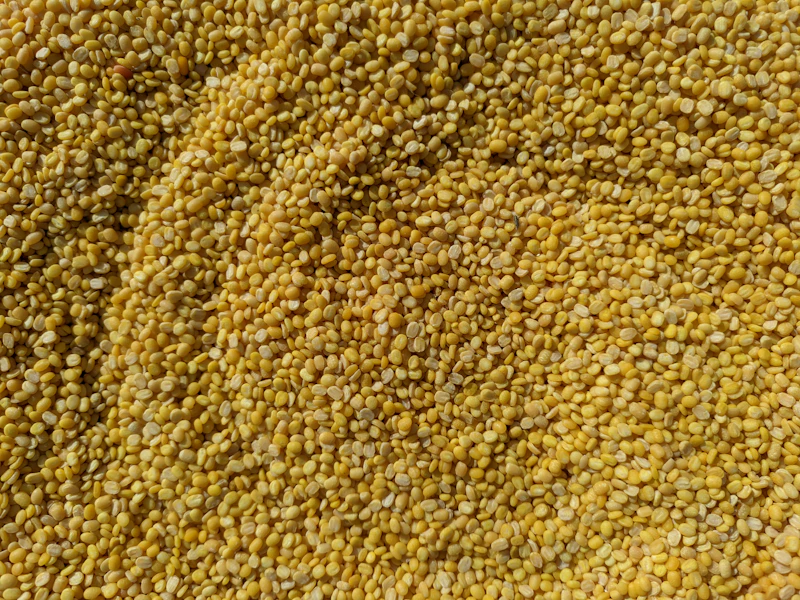 Golden-yellow split chickpeas (Chana Dal)